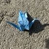 blue_crane